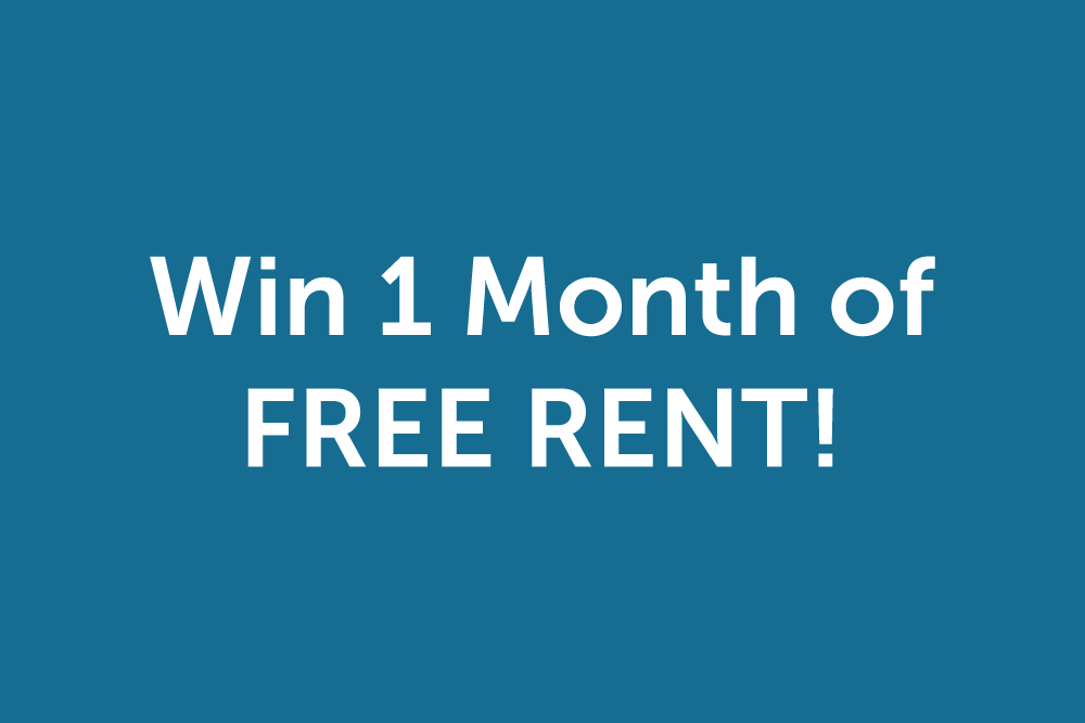 Boating—like you’ve never experienced before. Lake Powell Marinas